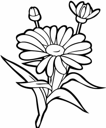 Узамбарская фиалка раскраска