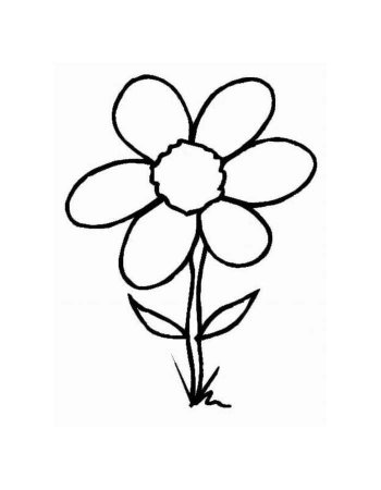 Цветы. Раскраска для малышей