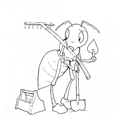 Стрекоза раскраска. Насекомые