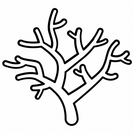 Раскраска морская актиния