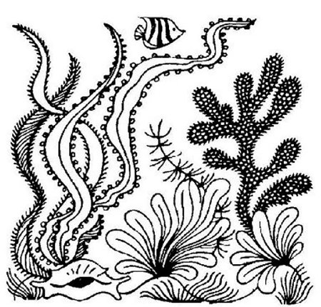 Кораллы раскраска