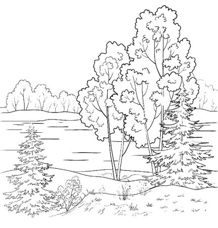 Рисунок осень карандашом