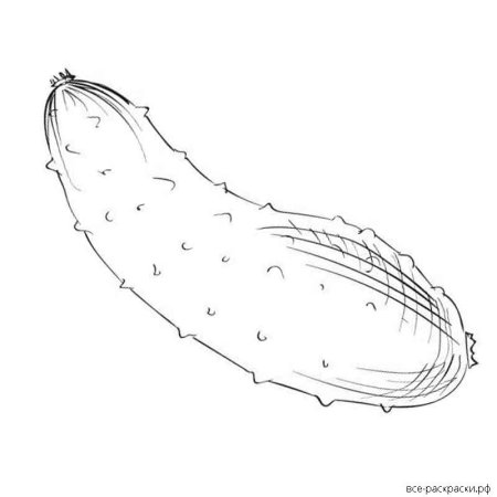 Лист огурца рисунок