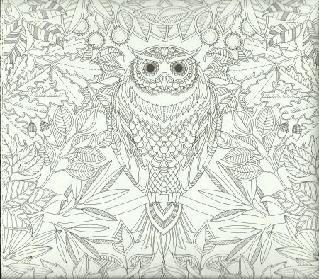 Раскраска релакс