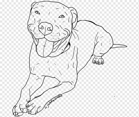 Стаффордширский бультерьер