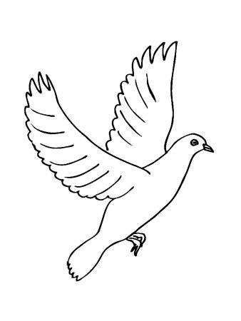 Голубь мира раскраска