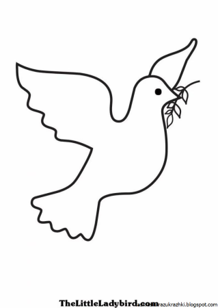 Голубь раскраска