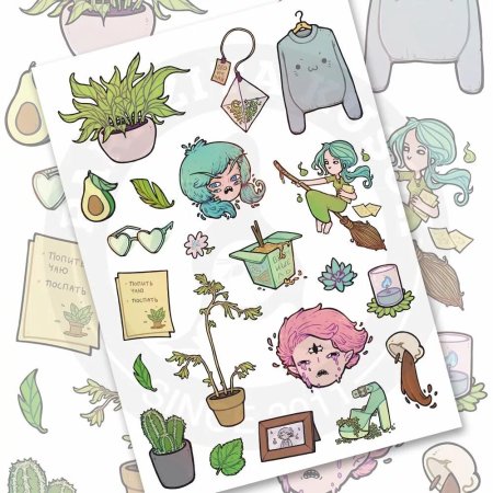 Асинастра зеленый пак