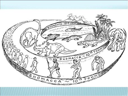 Биосфера чб