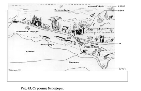 Границы биосферы рисунок раскраска
