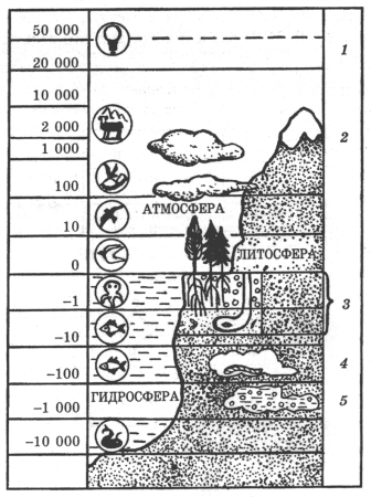 Границы биосферы схема