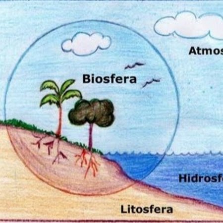Биосфера рисунок