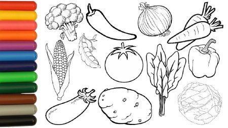Овощи раскраска для детей