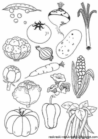 Морковь раскраска для детей