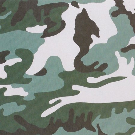 Энди Уорхол камуфляж