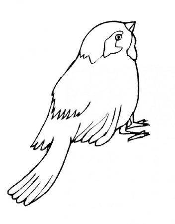 Контур птицы для детей