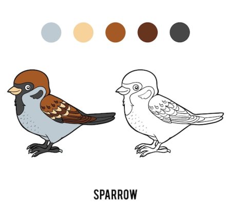 Воробей раскраска