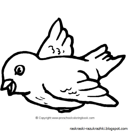 Контур птички для раскрашивания