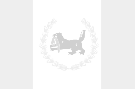 Флаг и герб Иркутска