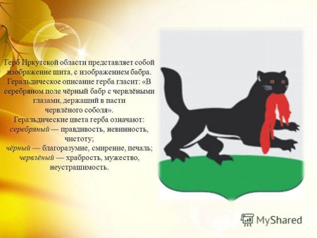 Иркутский Бабр герб