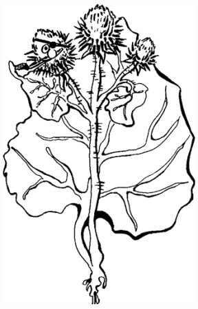 Чертополох символ Шотландии тату