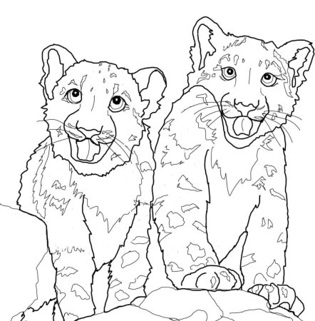 Тату снежный Барс эскизы