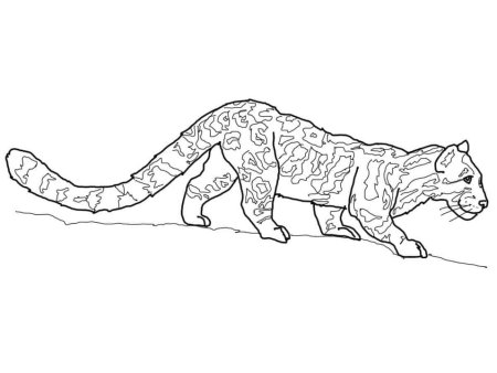 Барс раскраска для детей