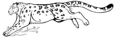 Снежный Барс Ирбис