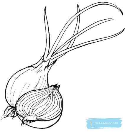 Лук раскраска для детей
