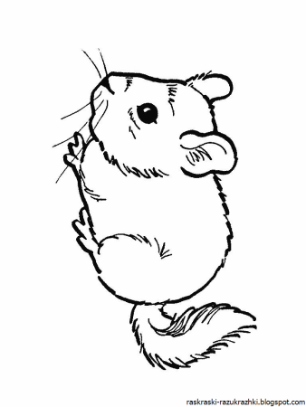 Стилизованная шиншилла