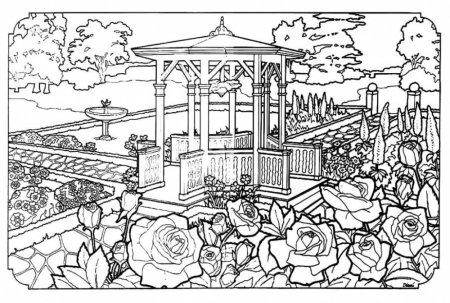 Сады. Раскраска