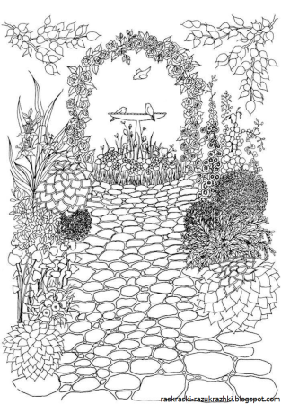 Сады. Раскраска