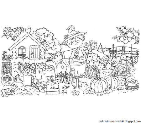 Раскраска "сад-огород"