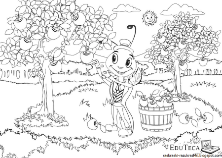 Сады. Раскраска