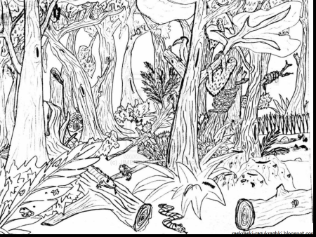 В лесу. Раскраска