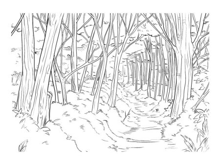 Поляна раскраска для детей