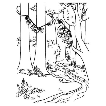 Раскраска Лесная природа