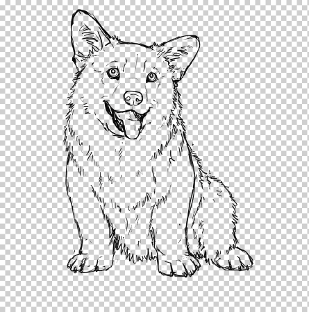 Раскраска вельш корги пемброк щенки