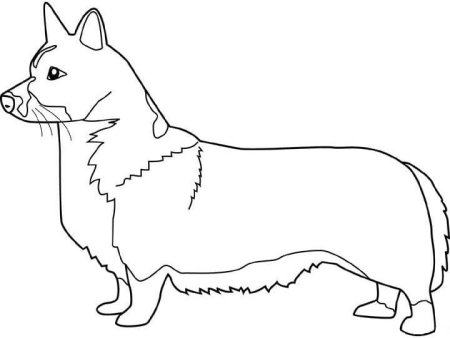 Вельш корги пемброк раскраска