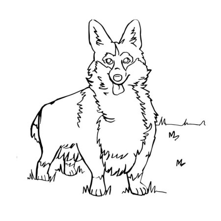 Раскраска корги кардиган