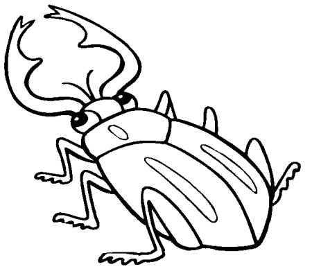 Насекомые. Раскраска