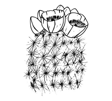 Кактус в горшке контур