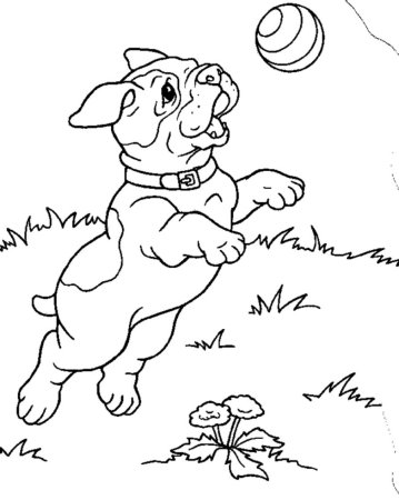 Щенок. Раскраска