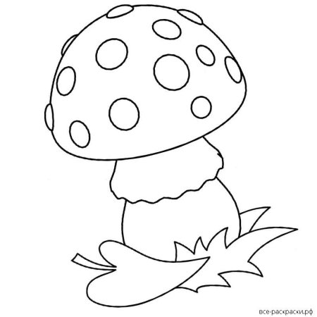 Мухомор раскраска