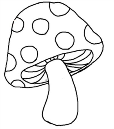 Мухомор раскраска