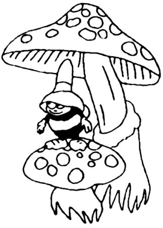 Грибная Поляна раскраска для малышей