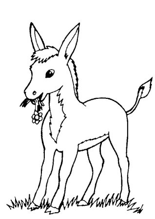 Шрек и осел раскраска