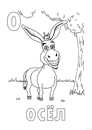 Осел из Шрека раскраска