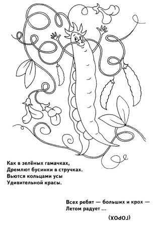Стручок гороха контур