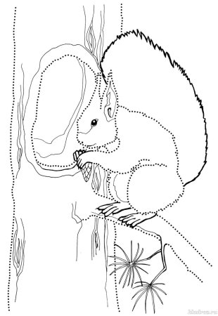 Дерево с дуплом рисунок